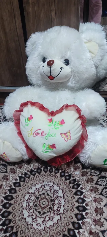 ayiq xechkim oynamagan top toza ayiq xechkim oynamagan top toza