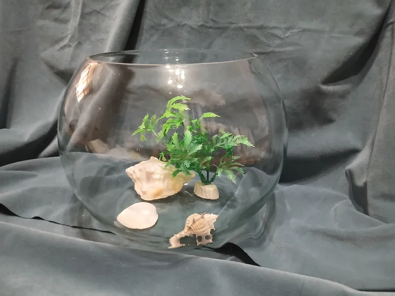 akvarium 3