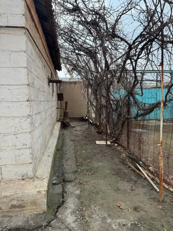 Дача сотилади (Dacha sotiladi) — фото 4