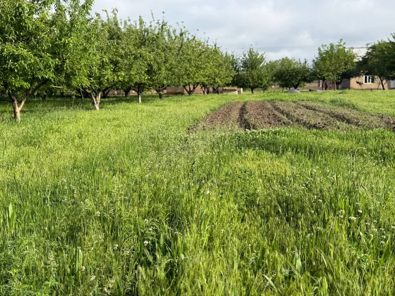 Hovli sotiladi srochna 5 Hovli sotiladi srochna 5