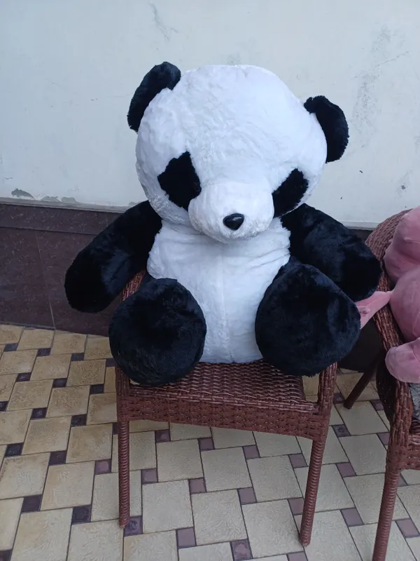 ayiq sotiladi 2 ayiq sotiladi 2