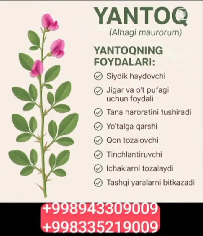 Yantoq zakaz olamiz Yantoq zakaz olamiz