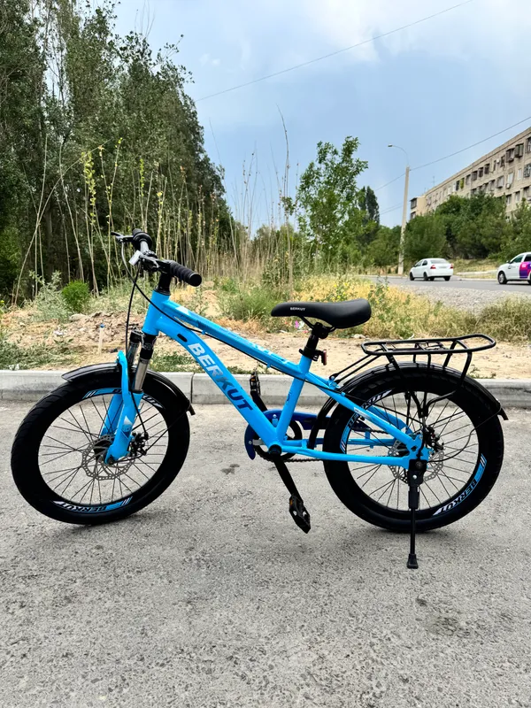 Berkut sifatli Xitoy velosipedlari 20 razmerda 1