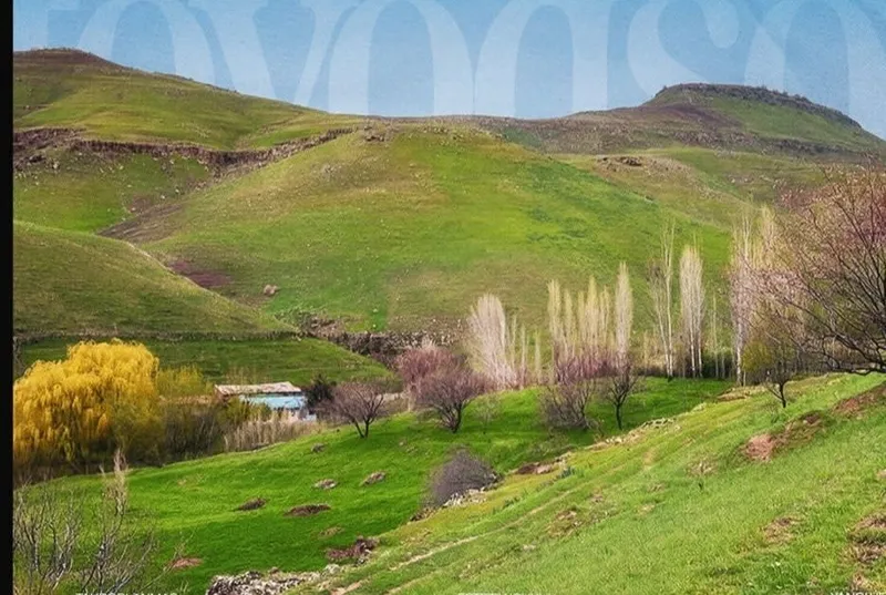 Boʻstonliq tumani Tovoqsoyda Uchastka sotiladi