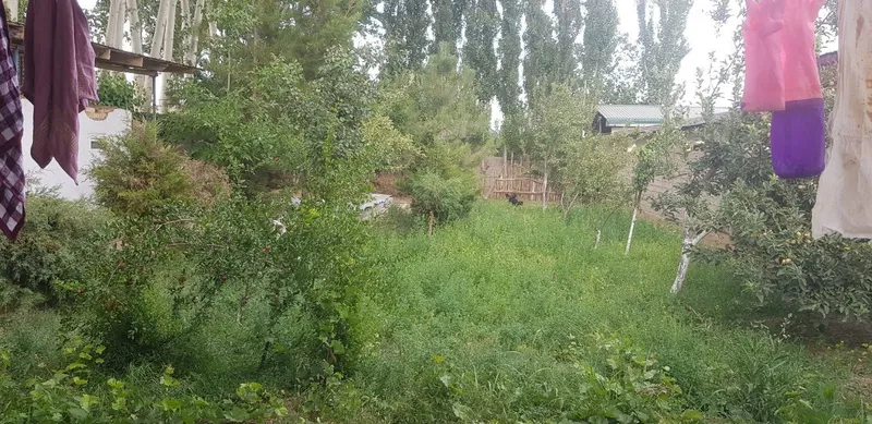 Bo'stonliq tumani, Soyliq qishlog'ida Uy sotiladi — фото 3