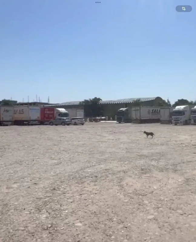 Sotiladi!!! Logistika uchun baza, 75 sotix. Toshkent viloyati, Zangiota tumani 2 Sotiladi!!! Logistika uchun baza, 75 sotix. Toshkent viloyati, Zangiota tumani 2