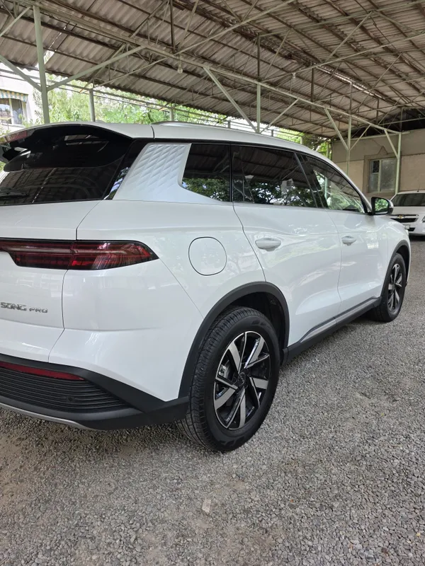 Byd Song Pro 2025 году брали с салона Полный FULL — фото 5