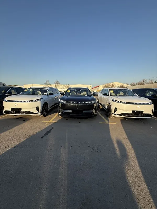 dongfeng 008 gibirid