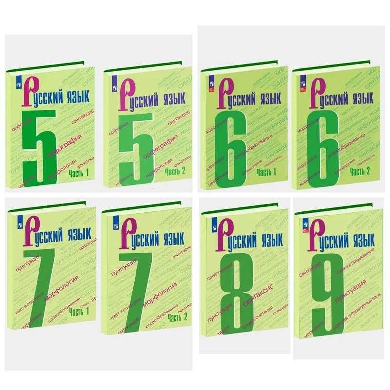 Доставка. Русский язык 5,6,7,8,9 класс Ладыженская