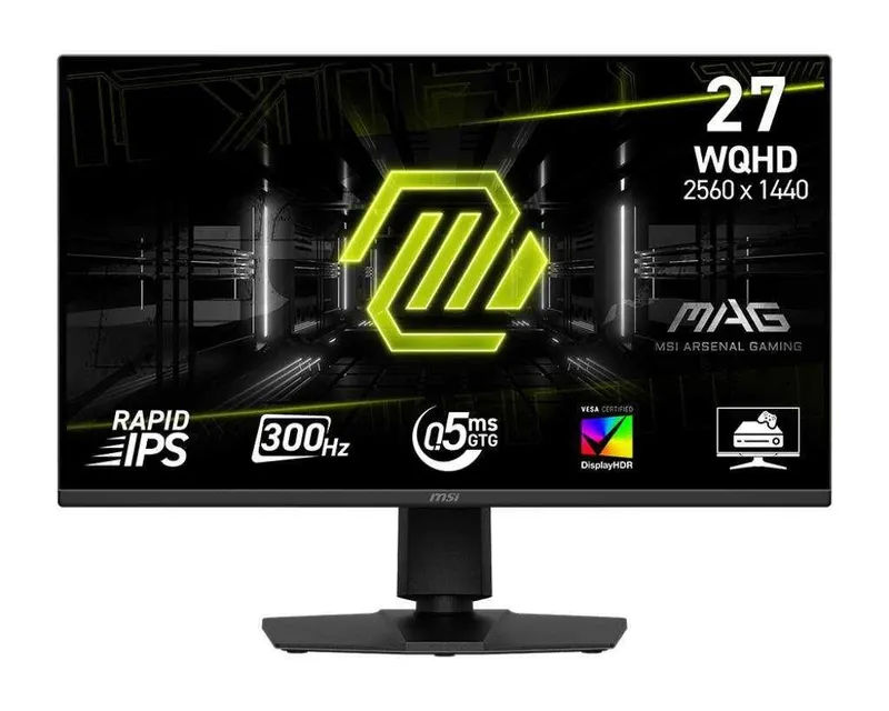 Msi monitor Gaming 300hz
