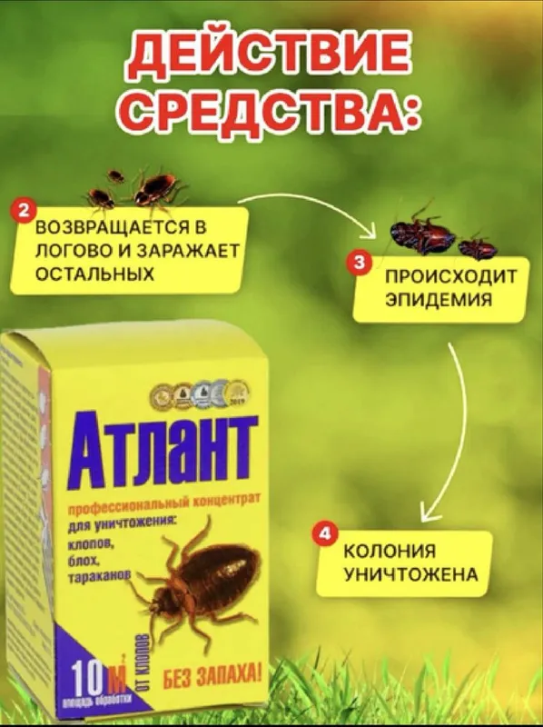 Атлант -от клопов тараканов и других насекомых — фото 2