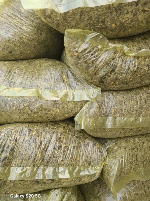 Qoplangan seloslar sotiladi 20 kglik 3 Qoplangan seloslar sotiladi 20 kglik 3