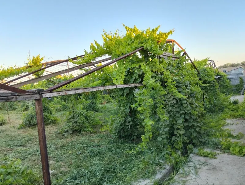 Uy xonadon sotiladi nazarbek obod mahallada — фото 2