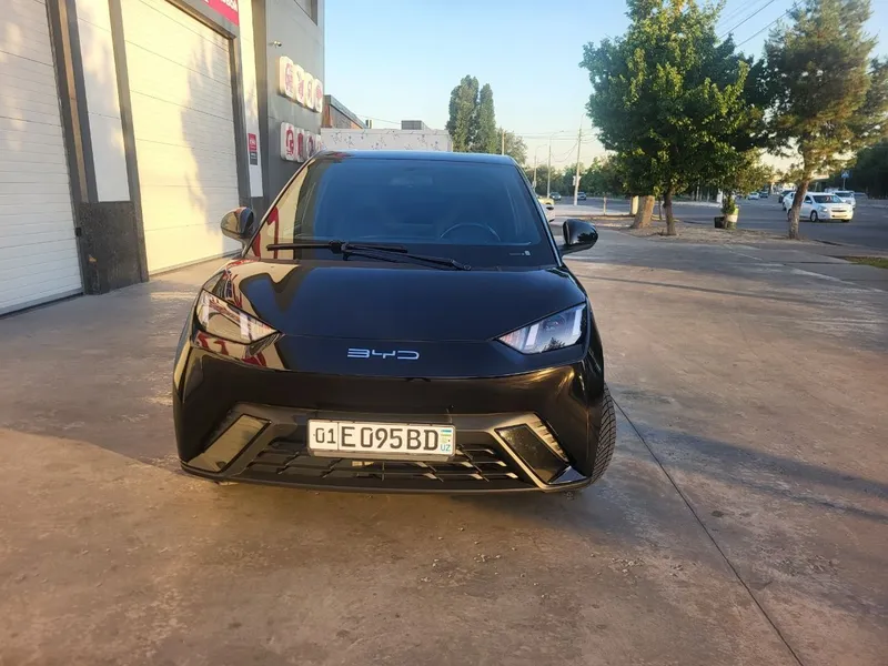 BVD Syugul sotiladi 1