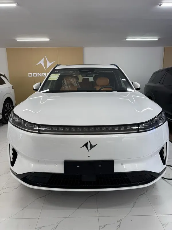 dongfeng ep008 2 каторли 2025 1