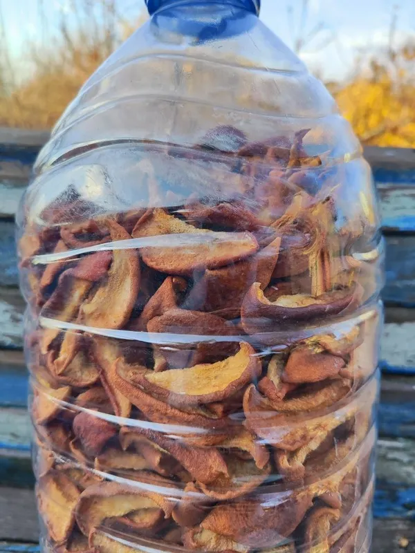 Табий услда куритилган НОК меваси, натуральная сушёная груша — фото 3