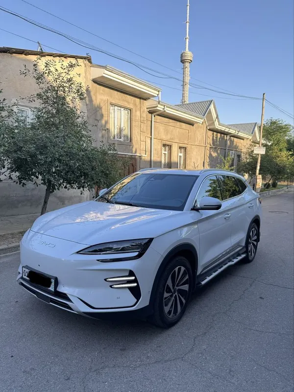 BYD Champion 605km 2023-24 tozza