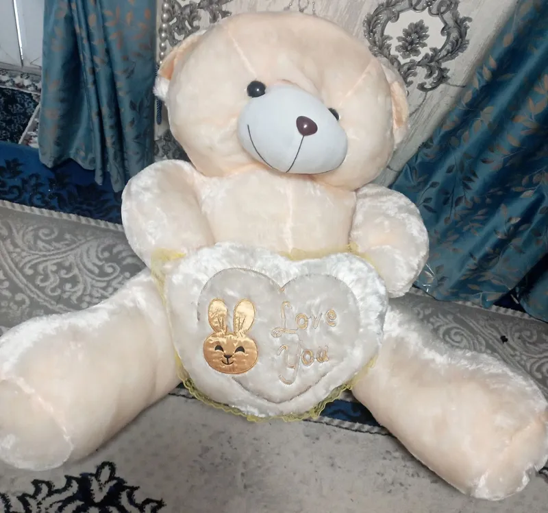 Кичкина ва катта айиклар 1