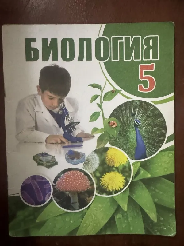 Книга по биологии 5 класс Книга по биологии 5 класс
