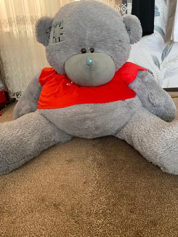 Teddy 1