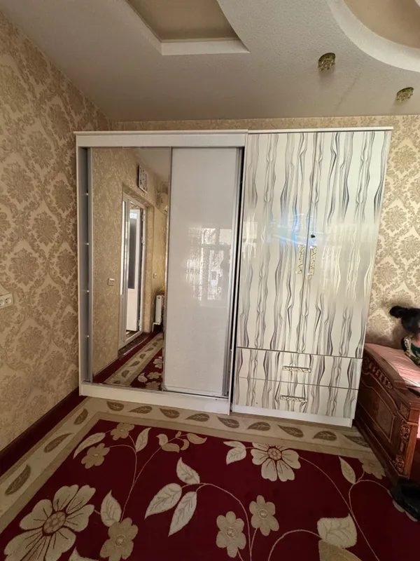 Шкаф и шифонер 2в 1 — фото 1