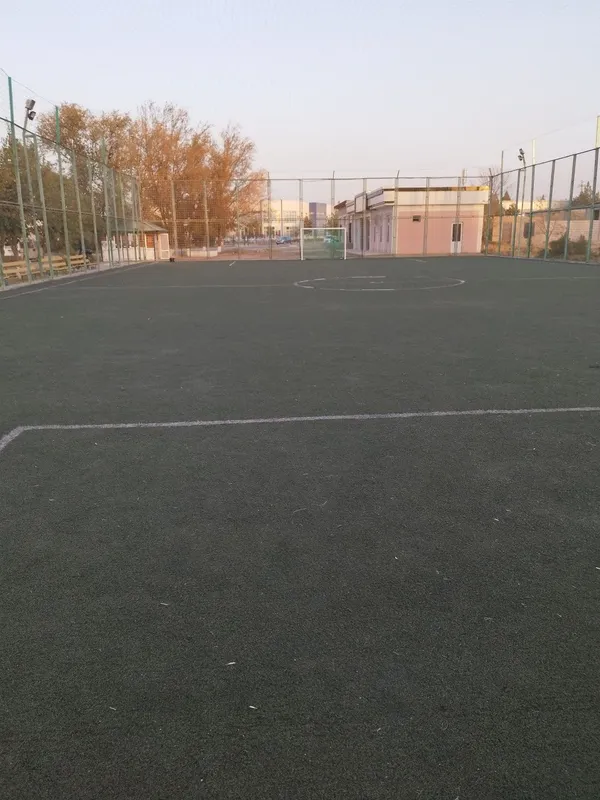 Suniy stadion chimi 43x23 gazon — фото 1