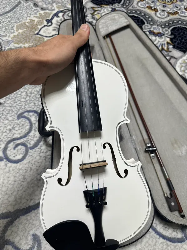 Skripka (violin) — фото 2