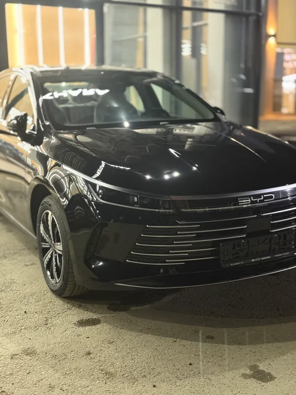 BYD chazor chempion