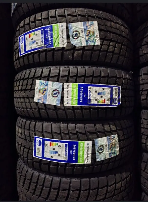 Зимние шины 255/50R20 G/M L/L 5 Зимние шины 255/50R20 G/M L/L 5