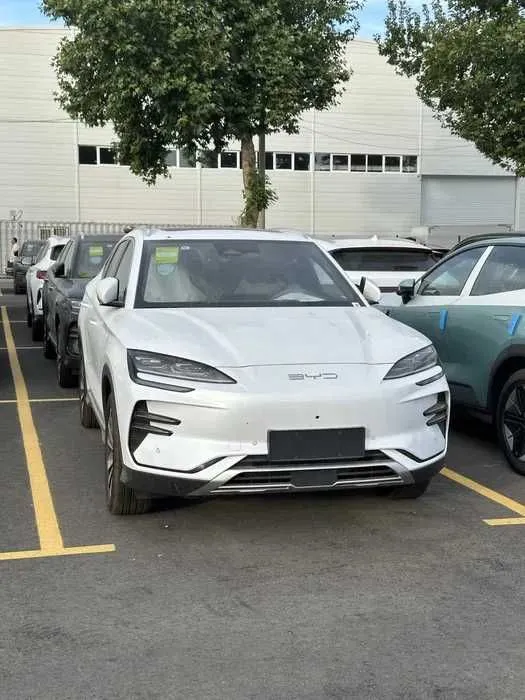BYD Champion 605km, pod zakaz