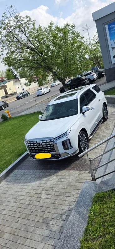 Hyundai Palisade 2025 3 Hyundai Palisade 2025 3