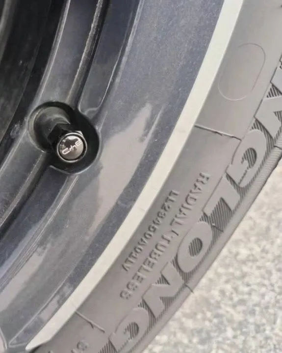 Колпачки на ниппель BYD — фото 2