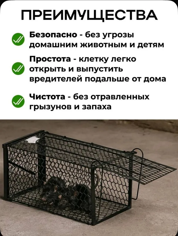 Крысолова мышеловка гуманная — фото 4