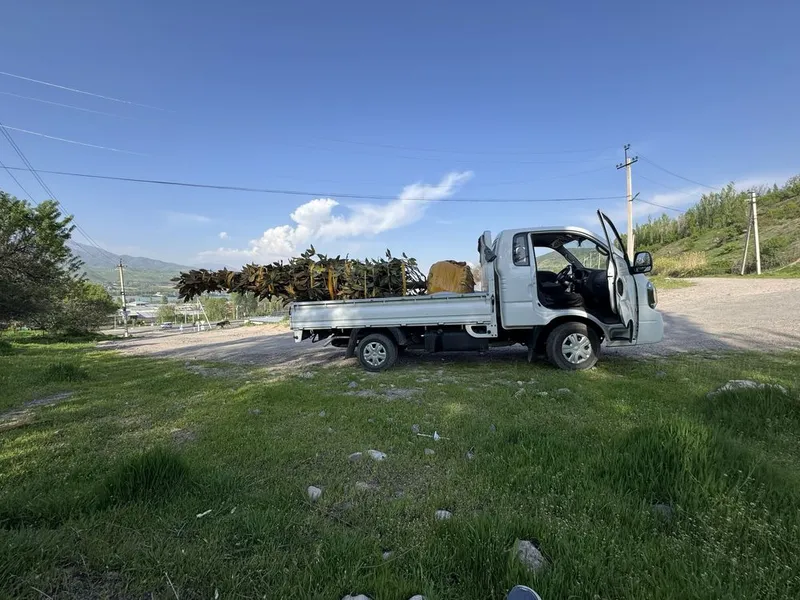 Kia bongo 2023 yil 62000 km tozza moshina tentlari bor — фото 3 Kia bongo 2023 yil 62000 km tozza moshina tentlari bor — фото 3