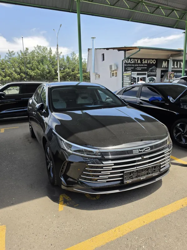 BYD Chazor 3 позиция 120 талик — фото 1