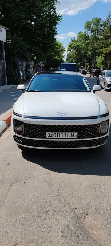 Hyundai Grandeur Calligraphy