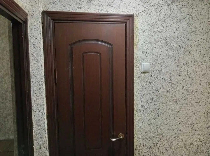 1-комнатная квартира, 26 м², Сергелий 4