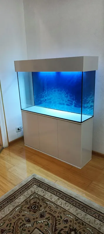 Akvarium yangi 260l