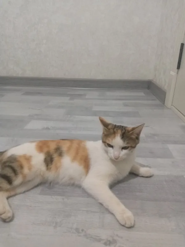Бесплатно 2 Бесплатно 2
