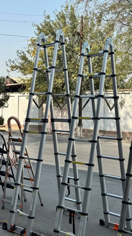 Narvon (леснитсы) — фото 2