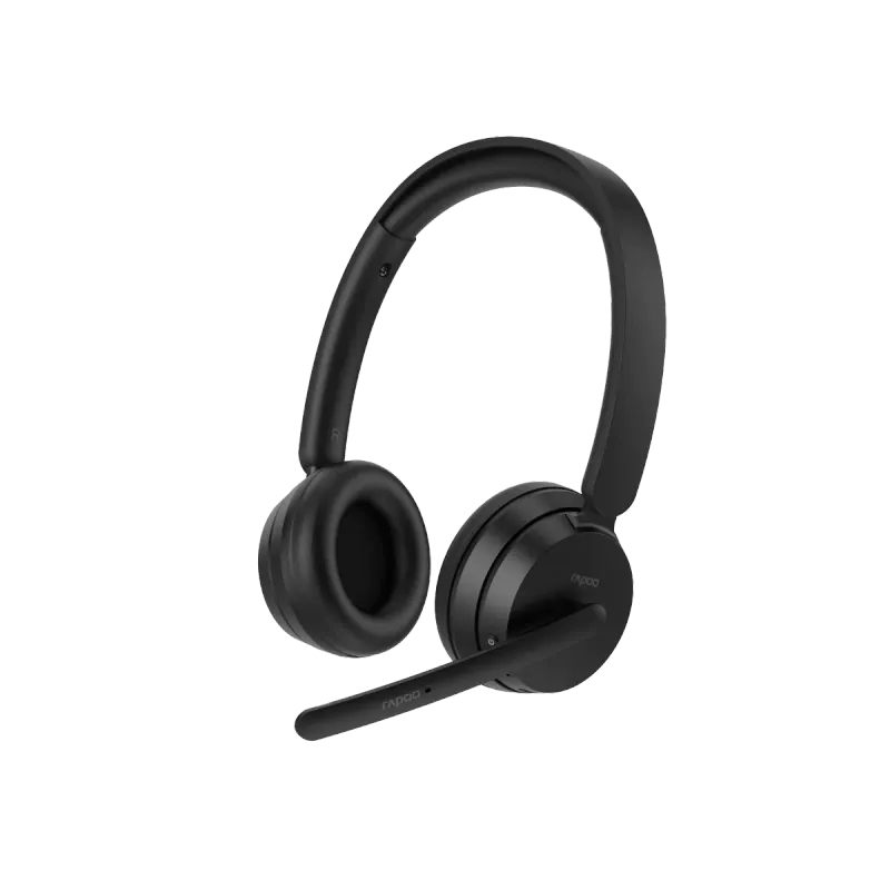 Rapoo H200 Проводные наушники