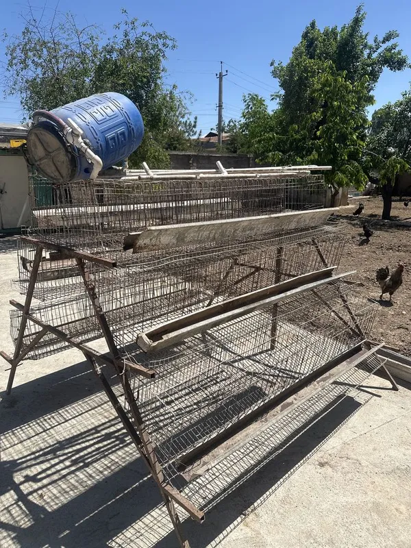 Qafas . Tuxum qoyish uchun moljallangan tovuqlarga — фото 2