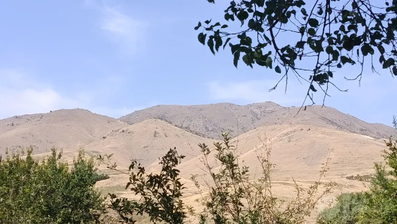 Yer sotiladi uchastka 2 Yer sotiladi uchastka 2