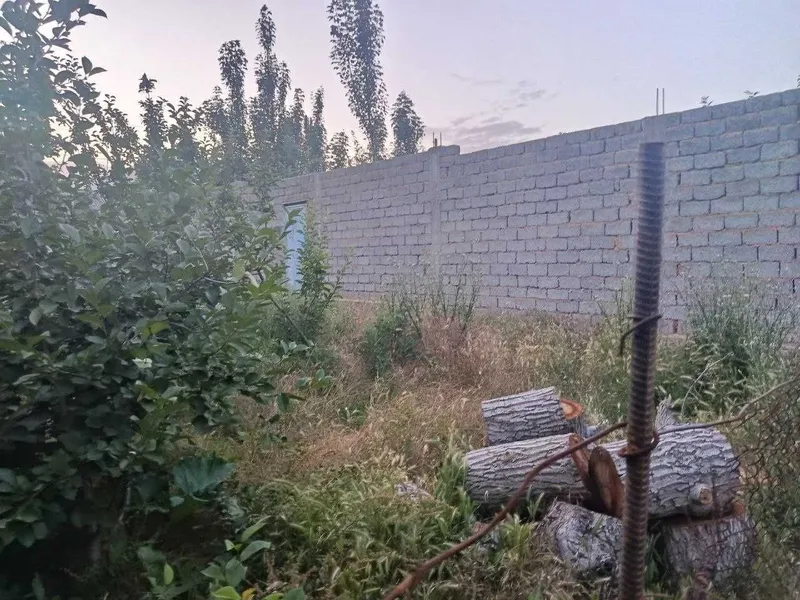 Bo'stonliq tumani, Soyliq qishlog'ida yer sotiladi — фото 6