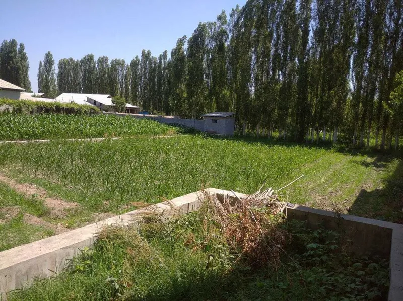 Farg'ona tumani Avval shaharchasida chek sotiladi!!! — фото 2