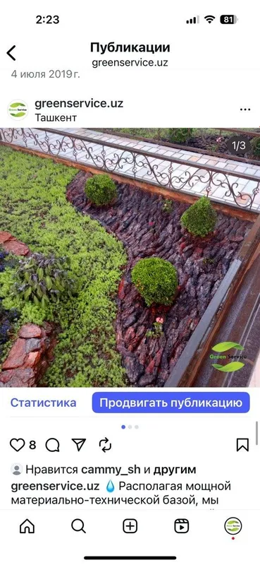 Рулонные газоны качественно. — фото 5