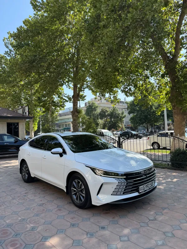 BYD Chazor 55 km 2 BYD Chazor 55 km 2
