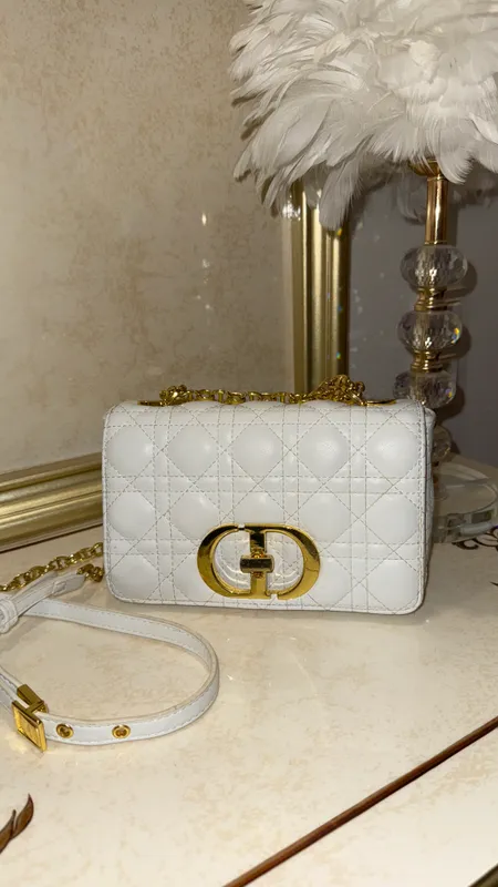 Dior sumkasi 3