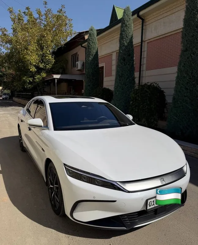 BYD Xan, 3,9 сек, два мотора 2 BYD Xan, 3,9 сек, два мотора 2