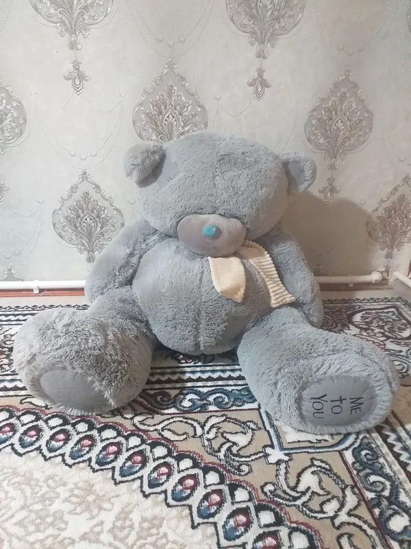 teddy ayiq